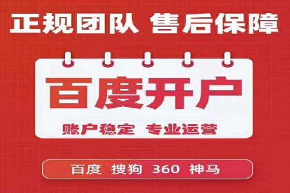 竞价排名的投放策略与效果评估案例